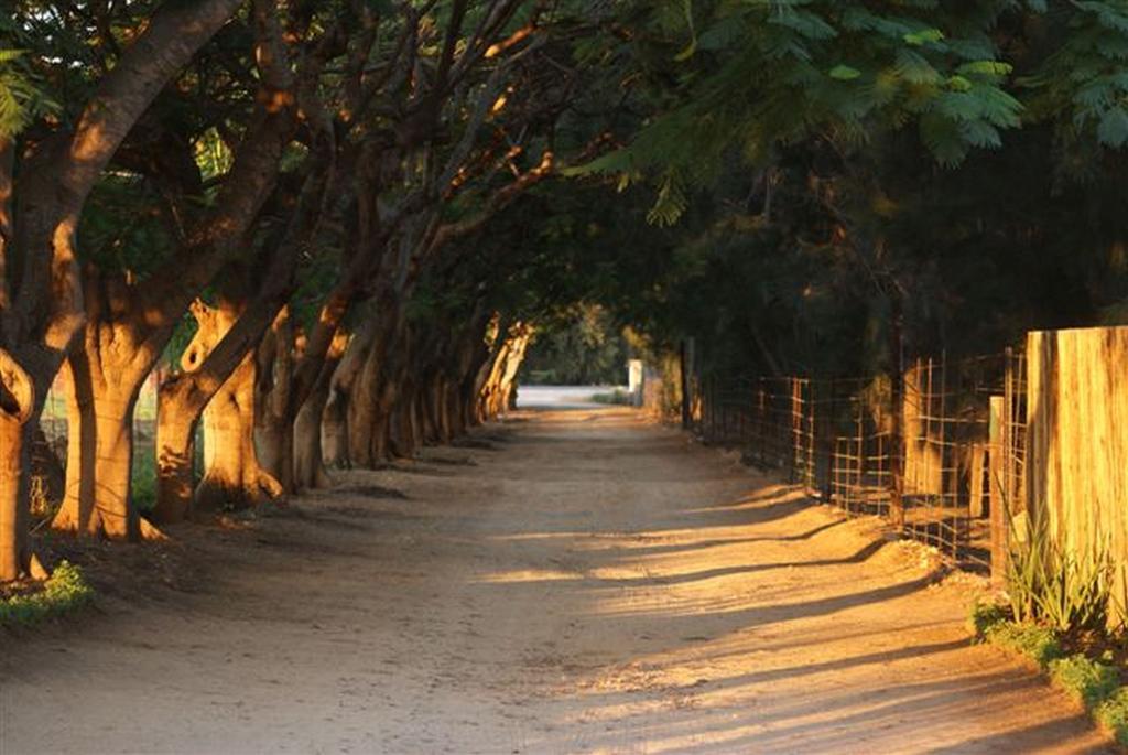 Blyde Mountain Country House Hoedspruit Ngoại thất bức ảnh